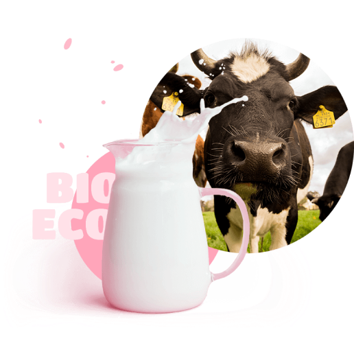 Milk carafe on the background of a cow